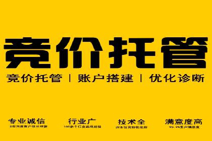 竞价SEM托管全解析：如何实现精准营销